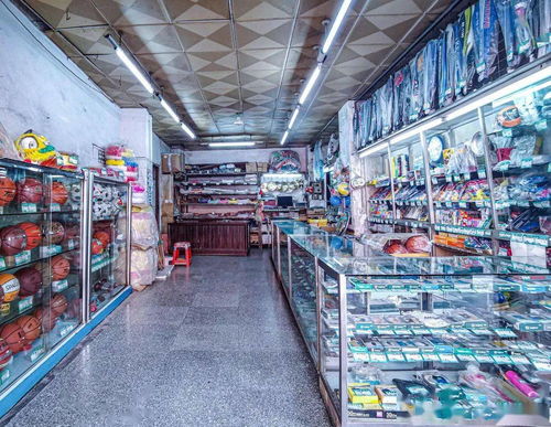 新学期话新气象 热门文体用品指南